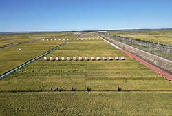 吉林省大安市龍海灌片03片區(qū)種植整改項目